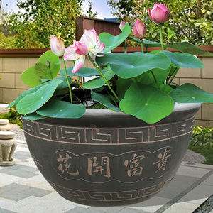 睡莲花盆土陶水养碗莲盆特大陶瓷荷花缸养鱼庭院水缸透气瓦缸花缸