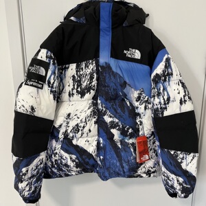 【黄旭同款】superme fw17 the north face北面联名款 雪山羽绒服