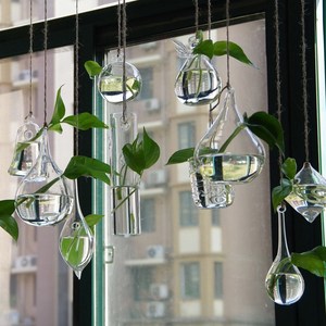 会所饰品透明水植物 盆栽 水养玻璃瓶挂墙吊兰美观绿植小花瓶