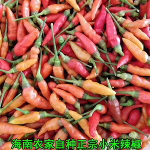 海南野生小米辣椒1斤装农村家本地自种土蔬菜新鲜当季正宗红特产
