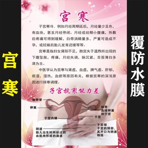 宫寒的危害海报墙壁画挂画子宫养护图片美容院养生会所广告装饰画