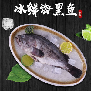 冻新鲜石斑鱼