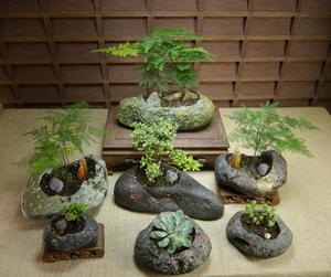 原生态创意自然石头花盆鹅卵石多肉禅意花器水培植物个性盆栽包邮