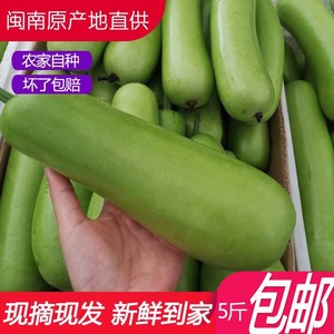 山野丫头鲜果果淘宝精选新鲜时令蔬菜现摘瓠子瓜扁蒲葫芦肉丝瓜夜