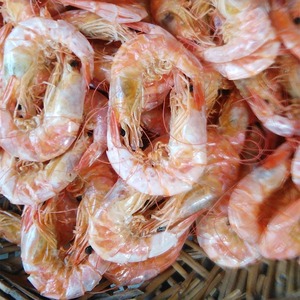 虾干虾脯海虾淡干即食大烤虾 潮汕海岛特产 本地自晒本地虾