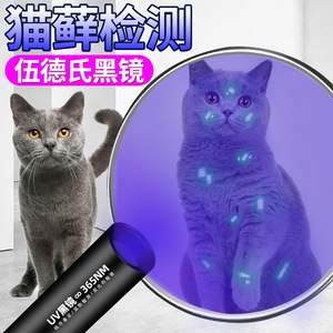 伍德氏灯照猫藓宠物尿真菌检测手电筒紫外线狗狗USB充激光逗猫棒