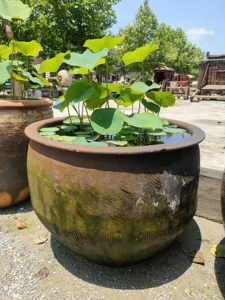 老式水缸 200斤老陶缸 腌肉腌菜粗陶缸储水酿酒家用 荷花缸