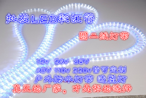 LED灯带彩虹管24/36/110v 圆二线圆形防水装饰灯条软树灯造型灯带