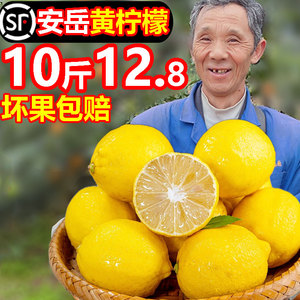 四川安岳黄柠檬新鲜皮薄一级酸小无籽柃水果林新奇士拧奶茶店专用