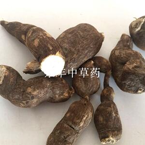 单叶铁线莲 拐子药 地雷 雪里开 贼佬豆 强盗药药材干货