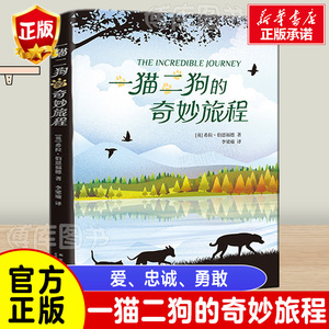 一猫二狗的奇妙旅程 三年级寒假 正版书 祖庆说百班千人大阅小森正版书籍本狮书店 小学生课外书必读书籍 新星出版社