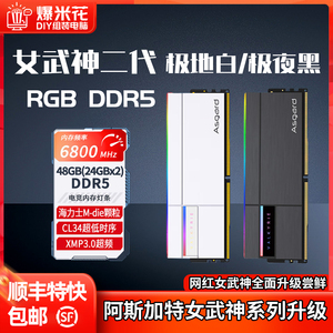 阿斯加特女武神二代（24Gx2）48G套装DDR5内存条6800海力士M黑白