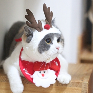 ins韩国宠物圣诞树变身帽猫咪鹿角帽子头鉓头套节日装扮拍照饰品