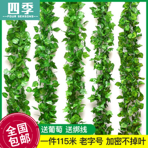 仿真葡萄叶假花树叶子藤条绿植物装饰花藤吊顶水管道塑料藤蔓缠绕