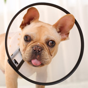 小狗狗头套防舔咬脖套头罩法斗伊丽莎白圈脖圈伊丽莎白圈猫咪项圈