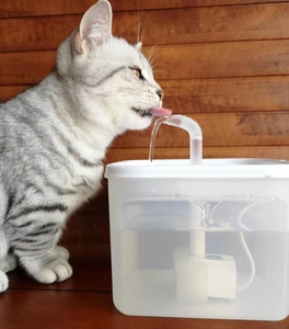 宠物电动自动饮水机猫咪狗狗循环过滤喝热水器饮水器可加热防干烧