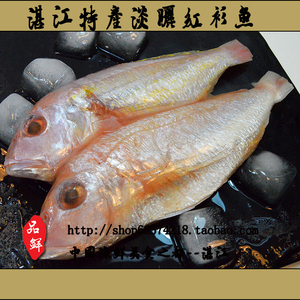 湛江特产冰鲜鱼红杉鱼冷冻金线鱼海鱼海鲜冻品水产新鲜海产品