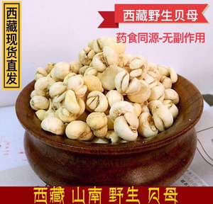 藏贝母西藏野生正品