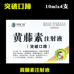 兽药兽用黄藤素注射液猪牛羊口蹄疫五号病口蹄溃烂腐蹄病蹄甲脱壳
