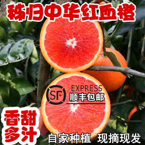 橙子10斤新鲜水果当季整箱湖北宜昌红肉雪橙红心中华红橙秭归血橙
