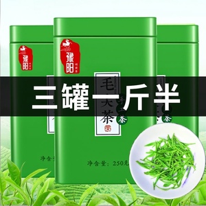 买一斤送半斤2024新茶信阳毛尖茶叶绿茶浓香耐泡型炒青茶散装750g