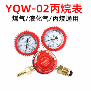 YQW-02丙烷减压器减压阀纯铜煤气阀液化气表防震减压器丙烷压力表