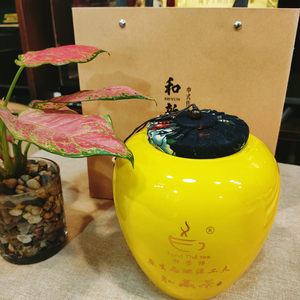 私藏茶罐装特级