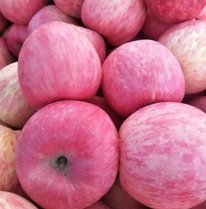 甘肃苹果天水秦安红富士80起步分别12/16/24个装邮政快递包邮