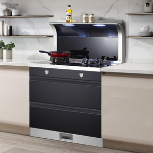 皮阿诺集成灶消毒柜一体灶家用燃气灶抽油烟机厨房电器  定金