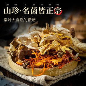 秦岭菌汤包陕西汉中略阳特产非云南菌菇60克炖鸡煲汤料食材羊肚菌