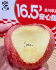 16.5安心甜洛川红富士苹果8斤5斤小中大果脆甜陕西特产秀之果礼盒