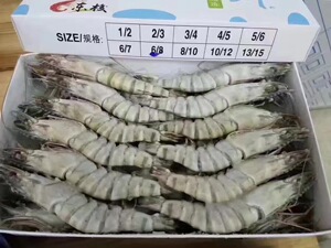 6-8青明虾黑虎虾斑节虾草虾大明虾铁板虾烧烤串水产海鲜冷冻6盒装