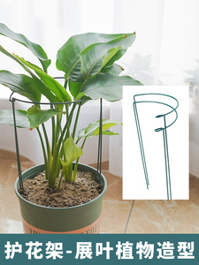 582人付款淘宝蟹爪兰专用支架蟹爪兰花架昙花支架兰花架多用途自由