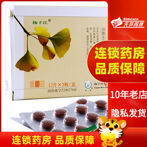 银杏叶片药依康宁