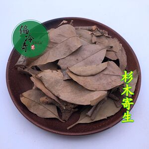 偏冷奇中草药材 杉木寄生 杉寄生 杉树寄生 500克 包邮