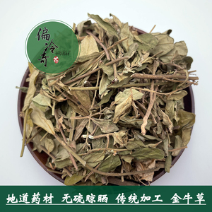偏冷奇中草药材广西紫背金牛草大叶金不换金牛远志坡白草500g包邮