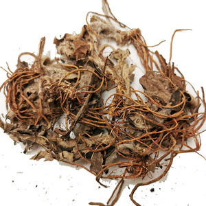 广西毛大丁草野生一枝香500克 兔耳风中草药兔耳草煲汤一柱香干货