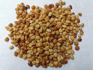 广西野生金丝指葫芦子种子500g华佗豆跌打豆贼老豆拐子豆籽可磨粉