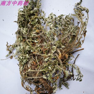 野生委陵菜中草药500g克 中药材白头翁草新鲜晒干龙牙草 可打磨粉