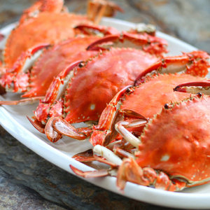 三斤母梭子蟹满黄红膏野生鲜活特大母蟹飞蟹水产海鲜带膏蟹发顺丰