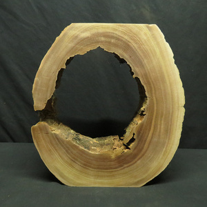 香樟木自然空心风化木枯木倒流香玄关禅意摆件木根雕家居软装饰品