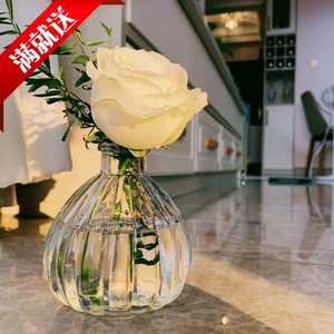 南瓜瓶 花瓶 水培容器玻璃花瓶 客厅插花装饰 鲜花栽培 干花瓶子