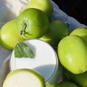 【青冬枣】青冬枣品牌,价格 - 阿里巴巴