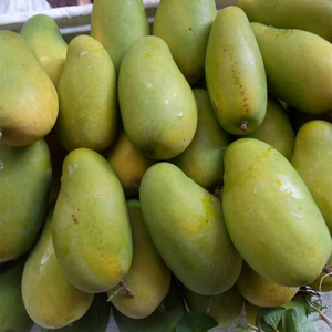 保山潞江坝老品种三年芒果3斤装 现摘现发新鲜老树麻蒙时令水果