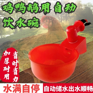 鸡用自动饮水器鸡鸭鸽子饮水碗雏鸡鹌鹑家禽加水器小鸡喝水饮水器