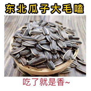 东北特产新货瓜子毛嗑葵花子薄皮原味现炒现卖大瓜子土特产500克