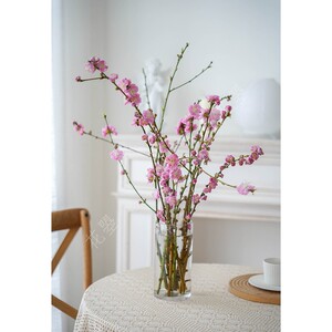 花曌 桃花鲜枝鲜切枝桃花真花鲜花水养家用插花招桃花运全国顺丰