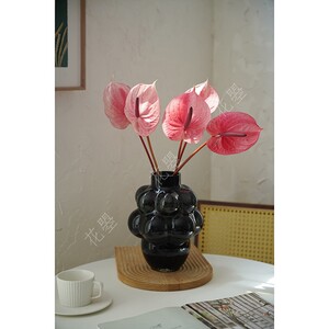 花曌 新鲜粉掌凯迪掌彩掌鲜切花鲜花水养 家居瓶插花