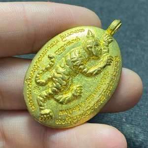 古巴磐石食人虎