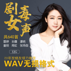 无损音乐汽车载u盘发烧女声雷婷孙露张玮伽专高品质wav格式网易云
